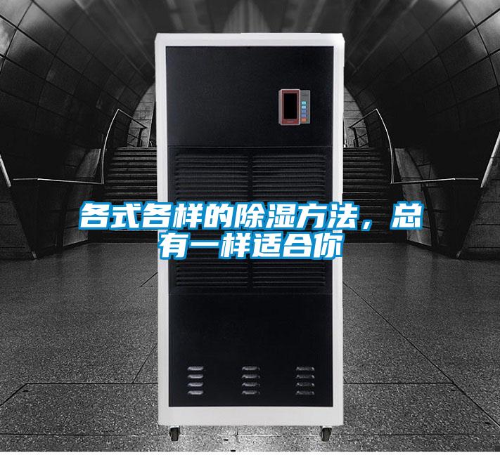 各式各樣的除濕方法，總有一樣適合你