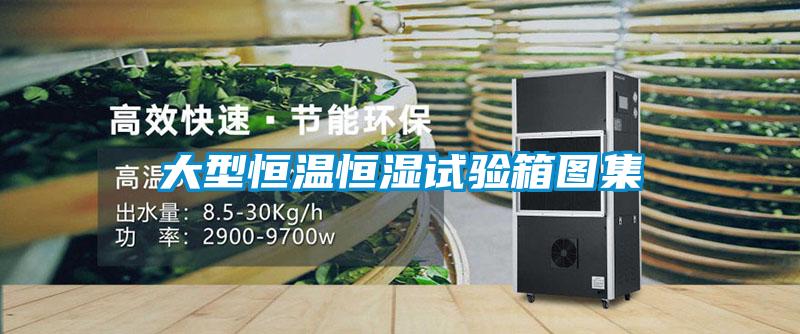 大型恒溫恒濕試驗箱圖集