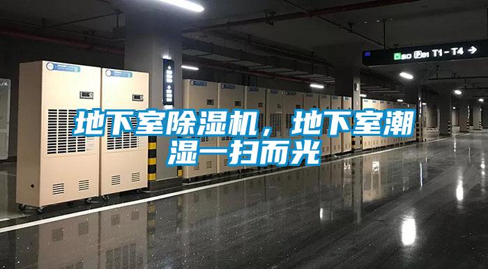 地下室除濕機，地下室潮濕一掃而光