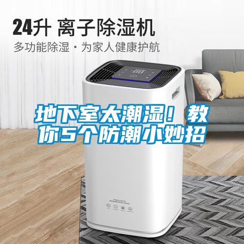 地下室太潮濕！教你5個(gè)防潮小妙招