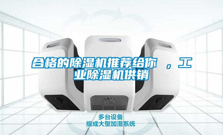合格的除濕機推薦給你 ，工業除濕機供銷