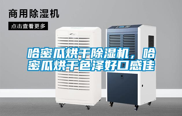 哈密瓜烘干除濕機，哈密瓜烘干色澤好口感佳