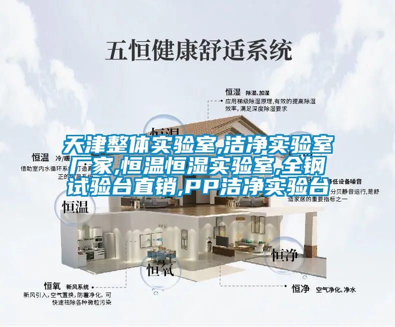 天津整體實驗室,潔凈實驗室廠家,恒溫恒濕實驗室,全鋼試驗臺直銷,PP潔凈實驗臺