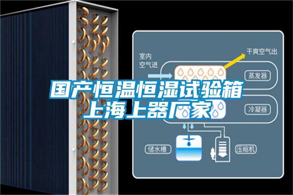 國產(chǎn)恒溫恒濕試驗(yàn)箱上海上器廠家