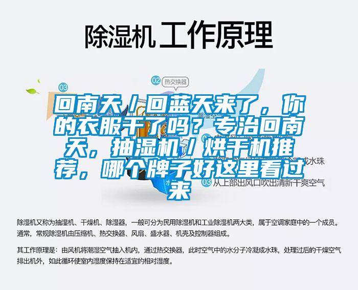 回南天／回藍天來了，你的衣服干了嗎？專治回南天，抽濕機／烘干機推薦，哪個牌子好這里看過來