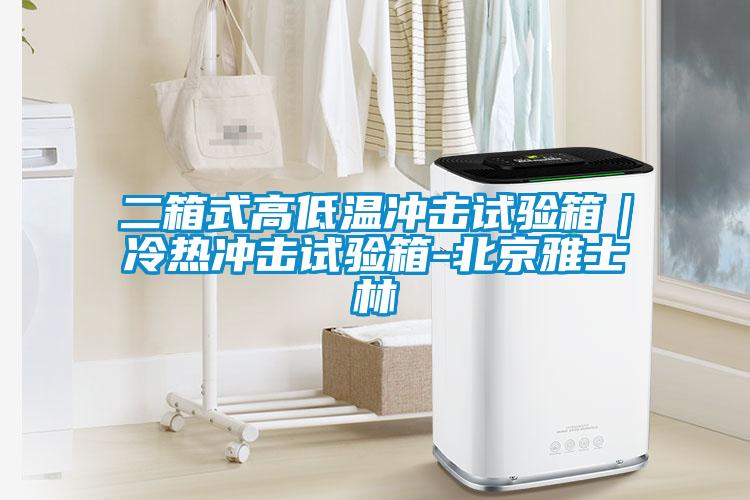 二箱式高低溫沖擊試驗箱｜冷熱沖擊試驗箱-北京雅士林