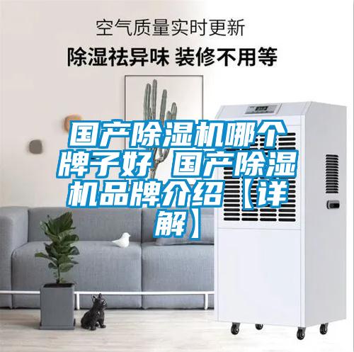 國產除濕機哪個牌子好 國產除濕機品牌介紹【詳解】