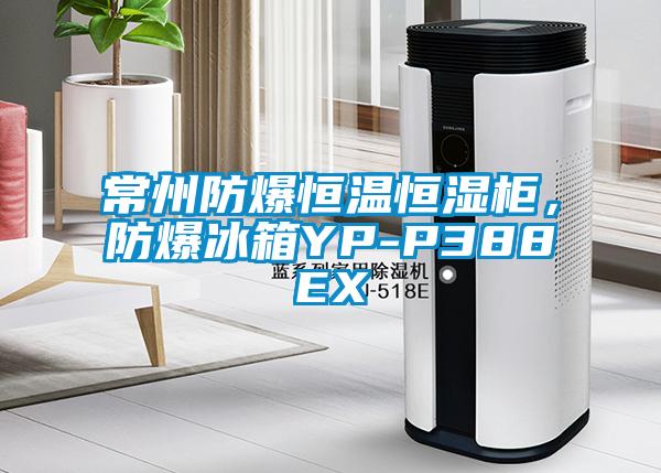 常州防爆恒溫恒濕柜，防爆冰箱YP-P388EX