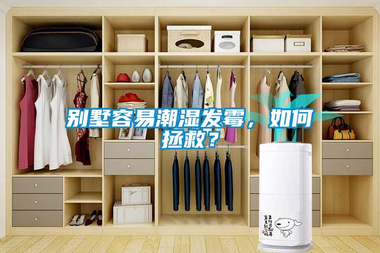 別墅容易潮濕發霉，如何拯救？