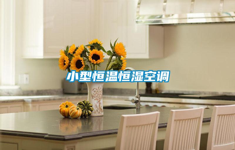 小型恒溫恒濕空調(diào)