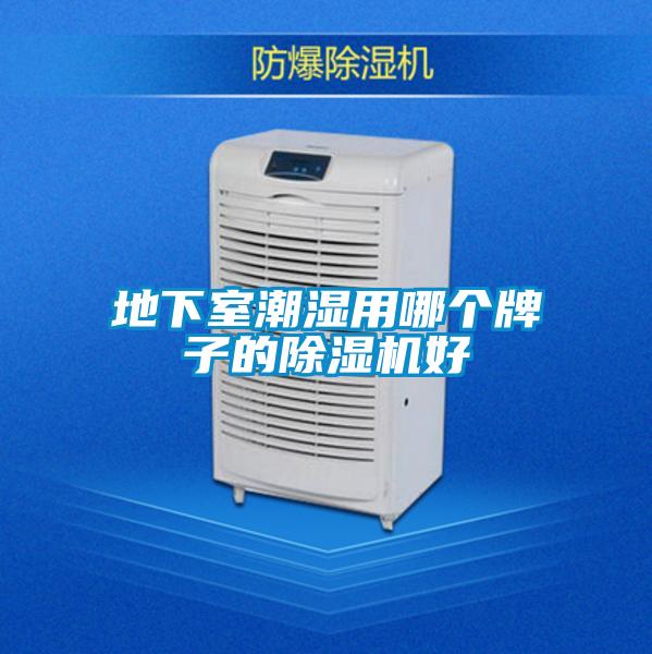 地下室潮濕用哪個牌子的除濕機(jī)好