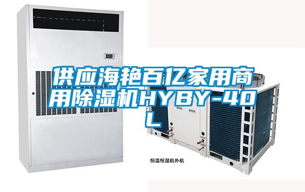 供應海艷百億家用商用除濕機HYBY-40L