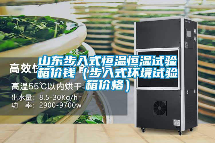 山東步入式恒溫恒濕試驗箱價錢（步入式環境試驗箱價格）
