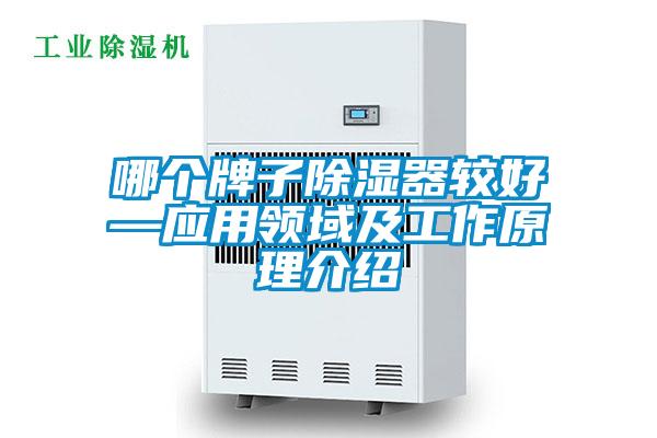 哪個(gè)牌子除濕器較好—應(yīng)用領(lǐng)域及工作原理介紹