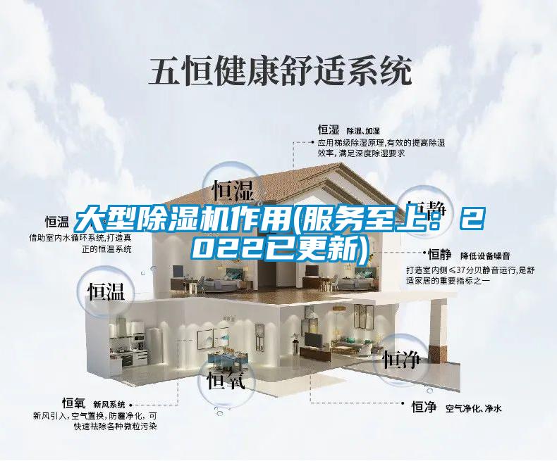大型除濕機作用(服務至上：2022已更新)