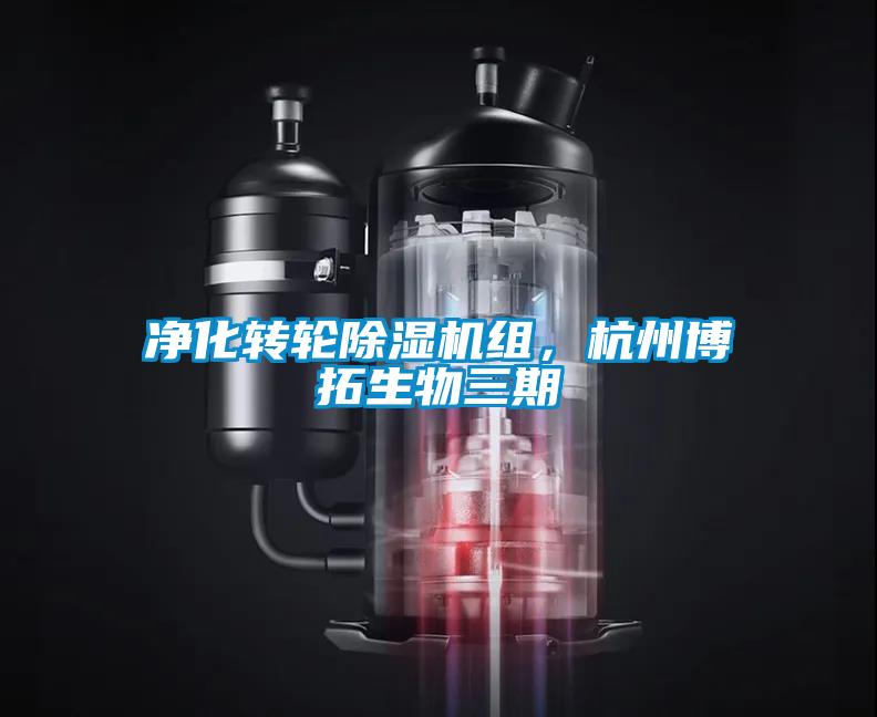 凈化轉輪除濕機組，杭州博拓生物三期