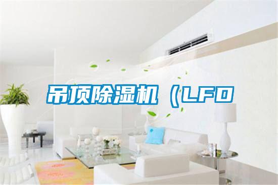 吊頂除濕機(jī)（LFD