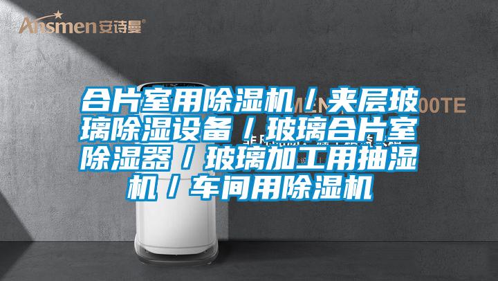 合片室用除濕機(jī)／夾層玻璃除濕設(shè)備／玻璃合片室除濕器／玻璃加工用抽濕機(jī)／車(chē)間用除濕機(jī)
