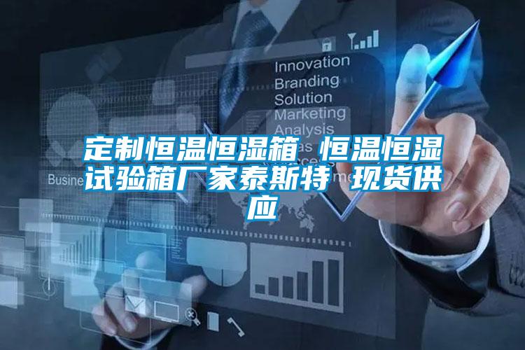 定制恒溫恒濕箱 恒溫恒濕試驗箱廠家泰斯特 現貨供應