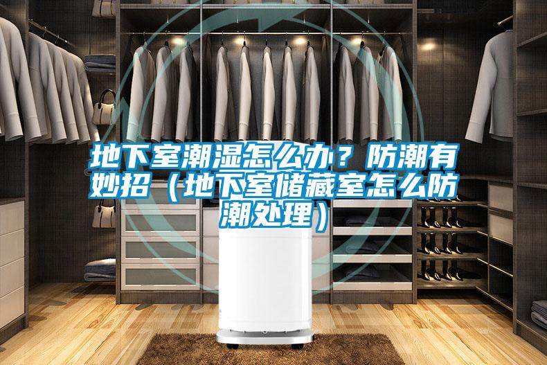 地下室潮濕怎么辦？防潮有妙招（地下室儲藏室怎么防潮處理）