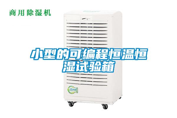 小型的可編程恒溫恒濕試驗箱