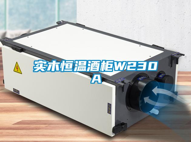 實木恒溫酒柜W230A