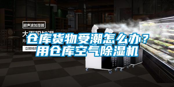 倉庫貨物受潮怎么辦？用倉庫空氣除濕機