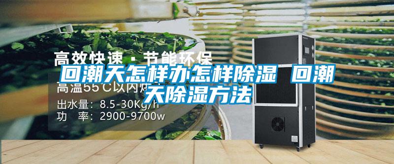 回潮天怎樣辦怎樣除濕 回潮天除濕方法