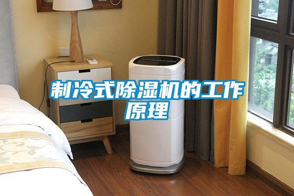 制冷式除濕機(jī)的工作原理
