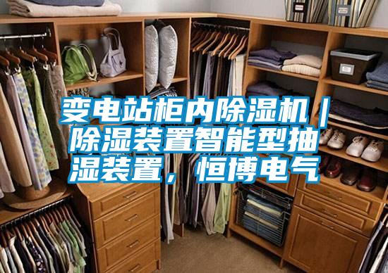 變電站柜內除濕機｜除濕裝置智能型抽濕裝置，恒博電氣