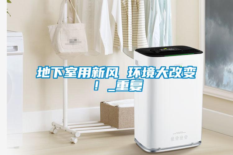 地下室用新風 環境大改變！_重復