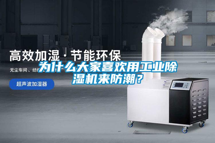 為什么大家喜歡用工業(yè)除濕機(jī)來(lái)防潮？