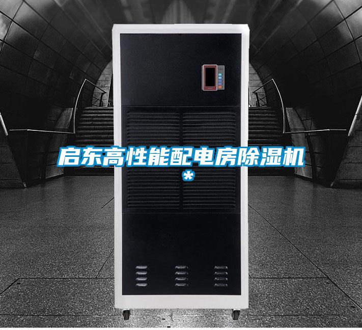 啟東高性能配電房除濕機＊