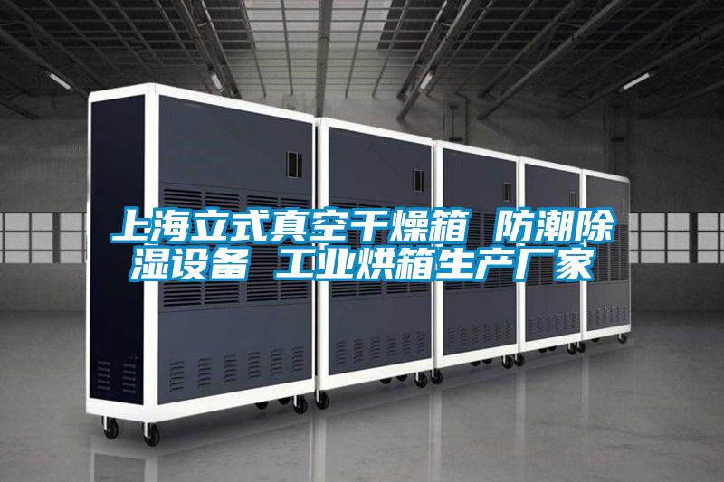 上海立式真空干燥箱 防潮除濕設備 工業烘箱生產廠家