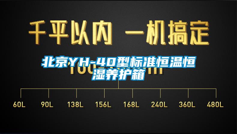 北京YH-40型標準恒溫恒濕養護箱