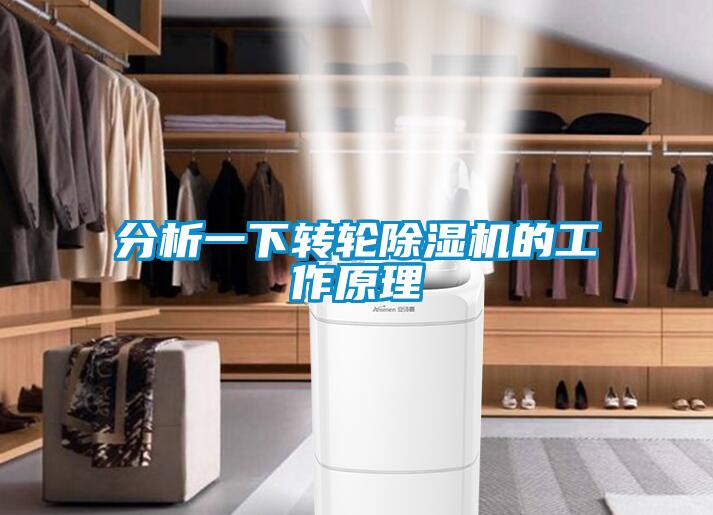 分析一下轉輪除濕機的工作原理