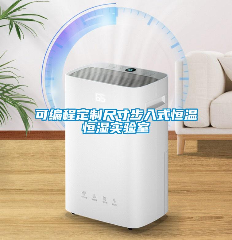 可編程定制尺寸步入式恒溫恒濕實驗室