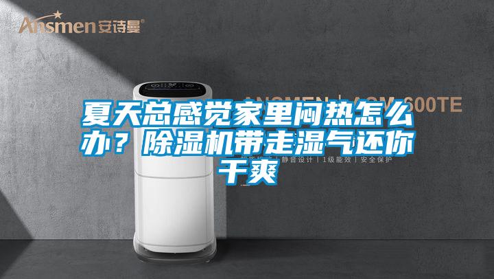 夏天總感覺家里悶熱怎么辦？除濕機帶走濕氣還你干爽