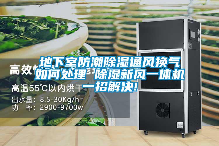 地下室防潮除濕通風換氣如何處理 除濕新風一體機一招解決!