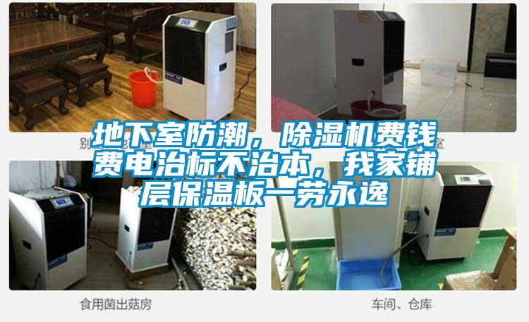 地下室防潮，除濕機費錢費電治標不治本，我家鋪層保溫板一勞永逸