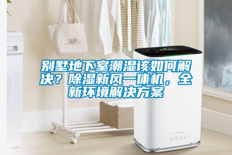別墅地下室潮濕該如何解決？除濕新風一體機，全新環境解決方案