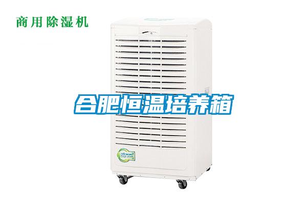 合肥恒溫培養箱