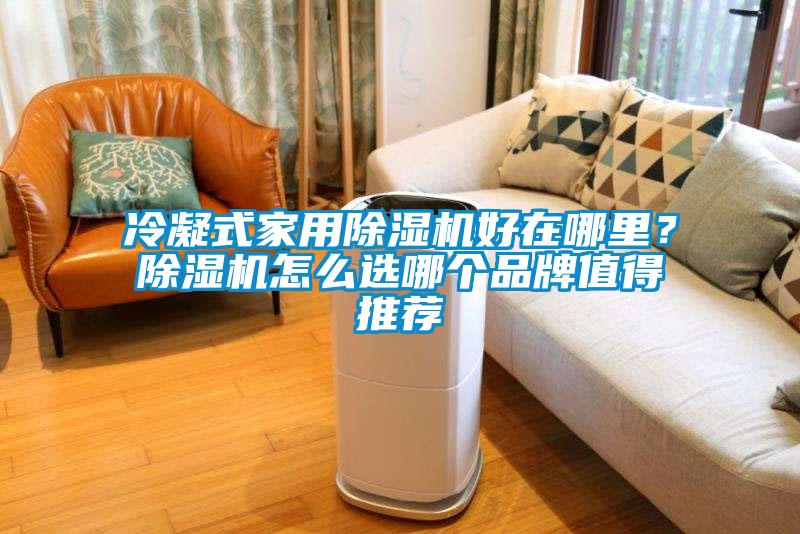 冷凝式家用除濕機(jī)好在哪里？除濕機(jī)怎么選哪個品牌值得推薦