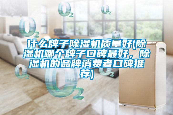 什么牌子除濕機質量好(除濕機哪個牌子口碑最好，除濕機的品牌消費者口碑推薦)