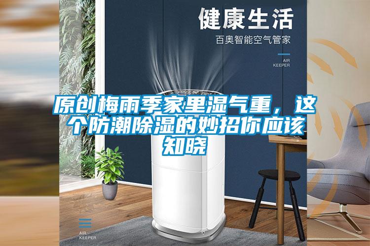 原創梅雨季家里濕氣重，這個防潮除濕的妙招你應該知曉