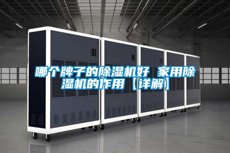 哪個牌子的除濕機好 家用除濕機的作用【詳解】