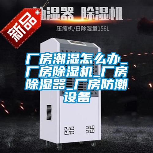 廠房潮濕怎么辦_廠房除濕機_廠房除濕器_廠房防潮設備
