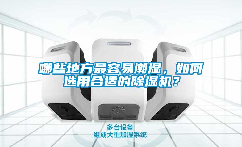 哪些地方最容易潮濕，如何選用合適的除濕機？