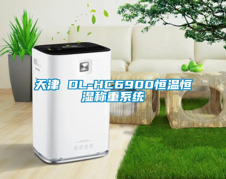天津 DL-HC6900恒溫恒濕稱重系統