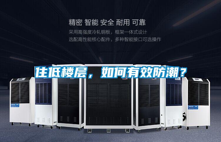 住低樓層，如何有效防潮？